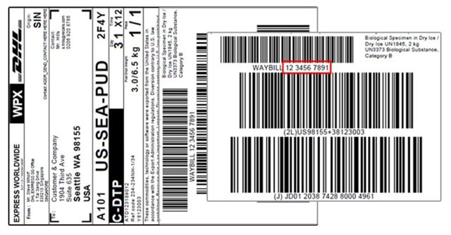 dhl tracking usa