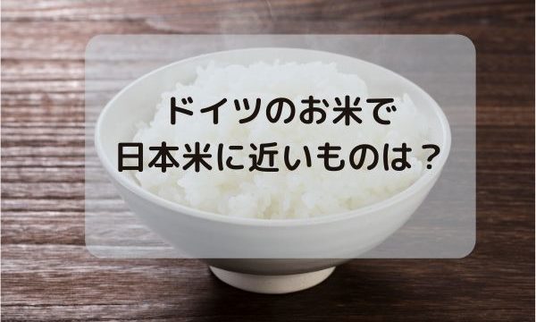 ドイツのお米で一番日本米に近いものは?