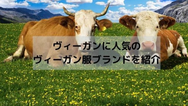 ヴィーガンに人気の ヴィーガン服ブランドを紹介